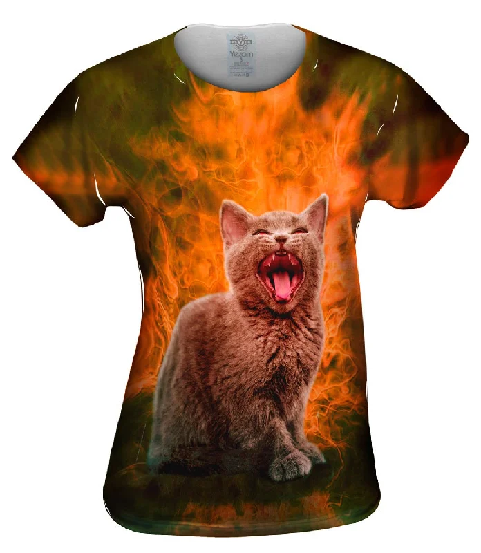 Closeout Sale Halloween Kitten