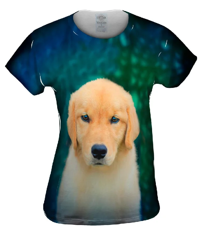 Low Cost Golden Retriever Cute Puppy