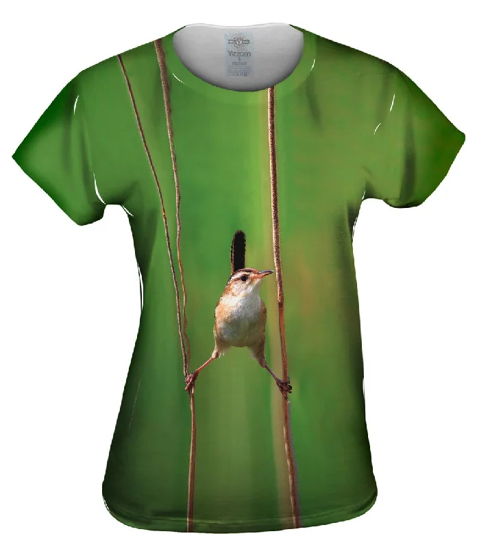 Final Offer Good Grip Marsh Wren Bird