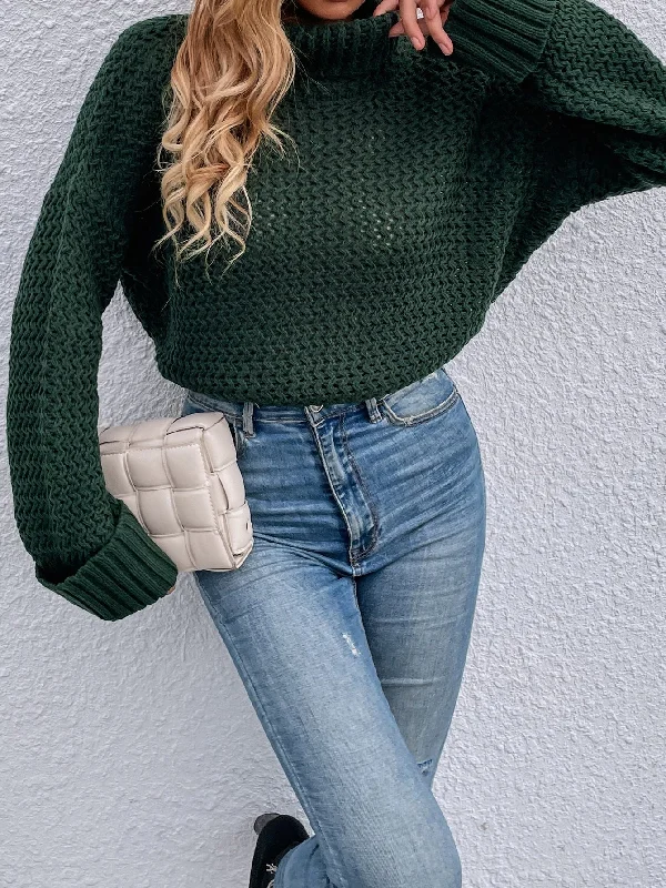 Weekend Bargains Galore Casual Plain Long Sleeve High Neck Regular Women Sweater