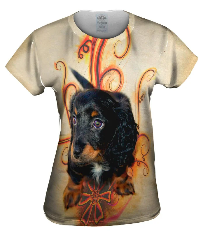 Price Slash Longhair Dachshund Puppy