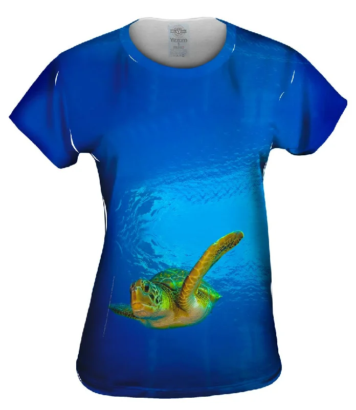 Clearance Items Green Turtle Underwater