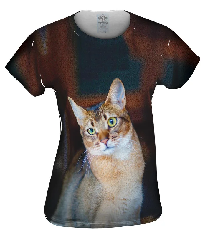 Deal Zone Confused Cat