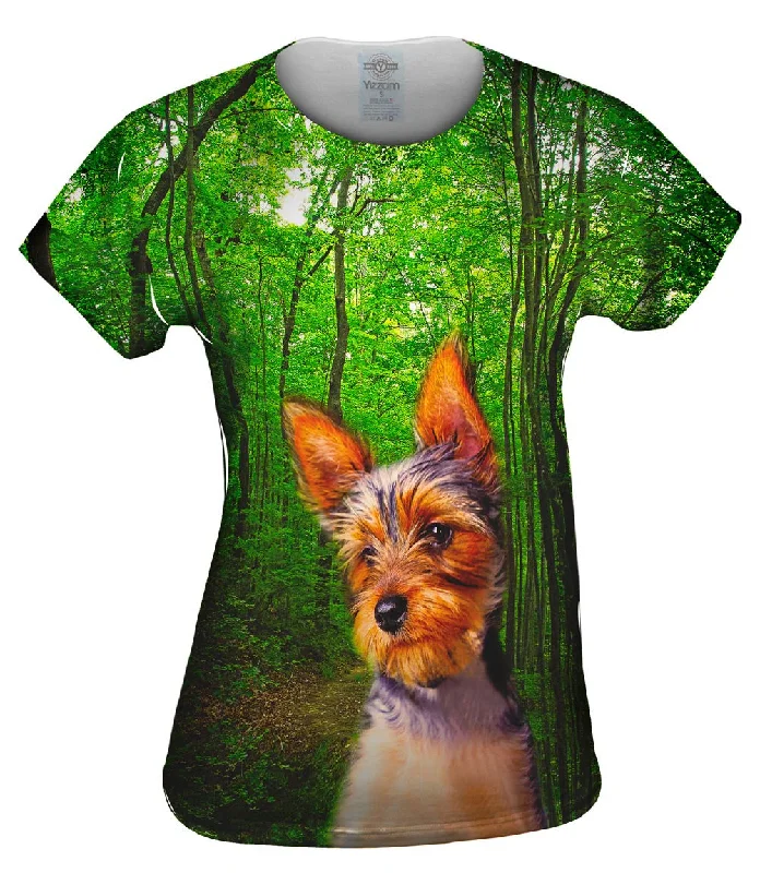 Shop Now Long Haired Yorkie Forest