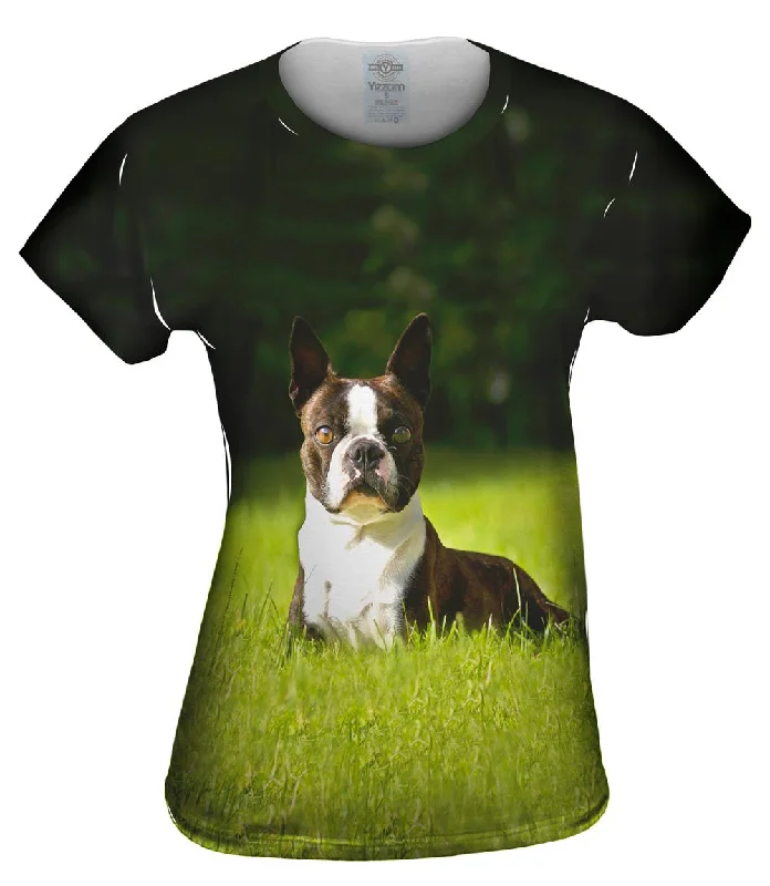 Sale Alert Giddy Boston Terrier