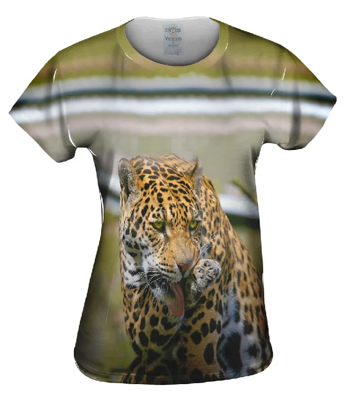 Shop and Save Keeping Clean Jaguar