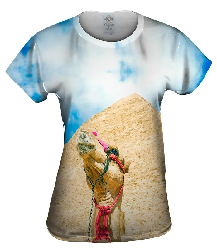 Closeout Egypt Camel