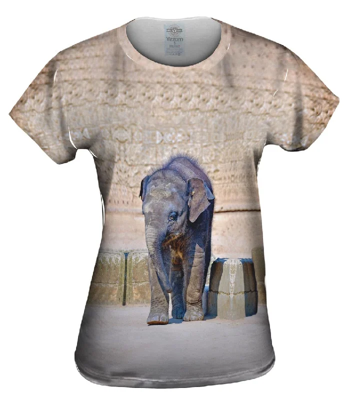 Best Bargains Elephant Baby Wanderer