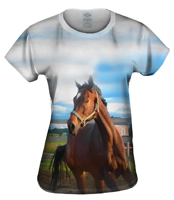 Instant Discount Eager Horse