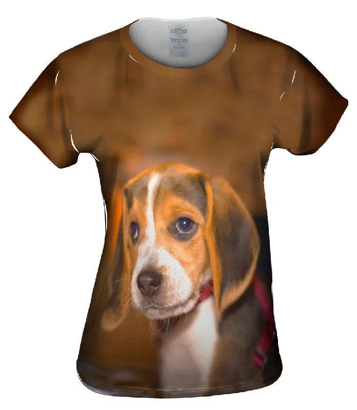 Weekend Offers That Amaze Innocent Beagle