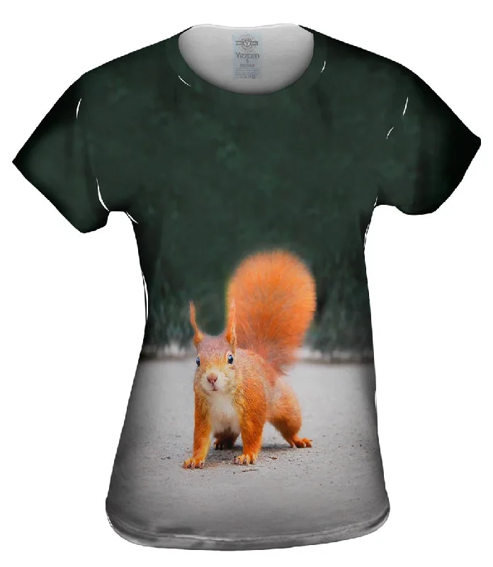 New Deals Hungry Squirrel