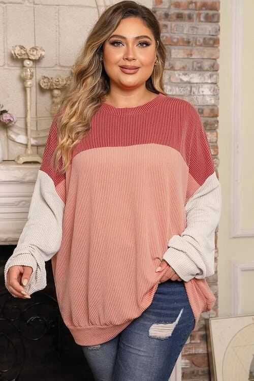 Deep Savings Plus Size Color Block Long Sleeve Top