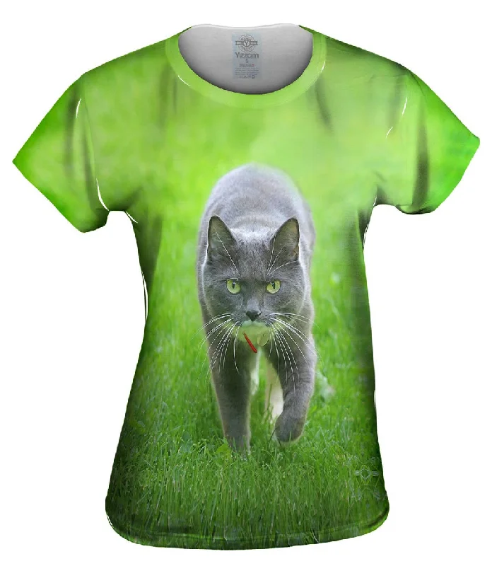 Weekend Offers That Excite Ferocious Grey Cat