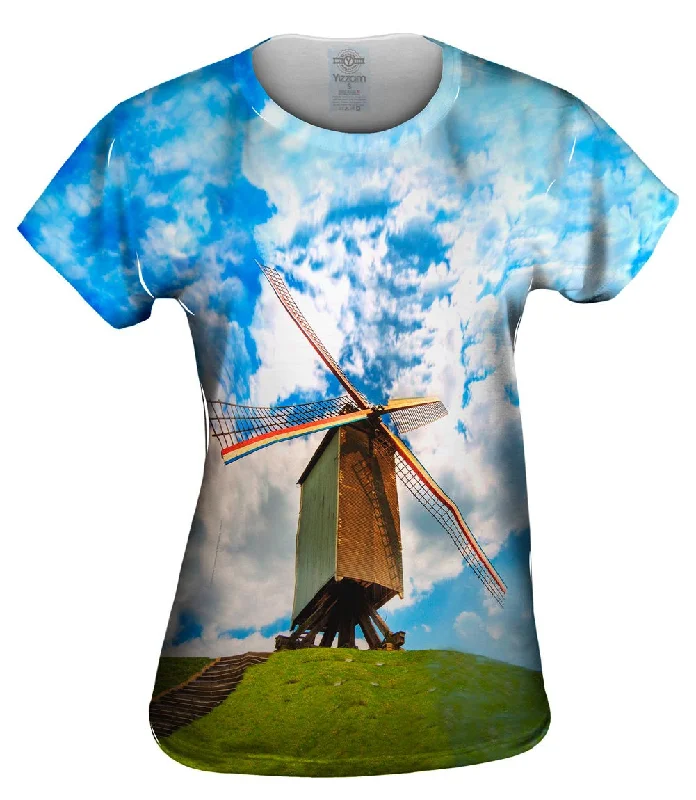 Year-End Clearance Don Quixote Windmill