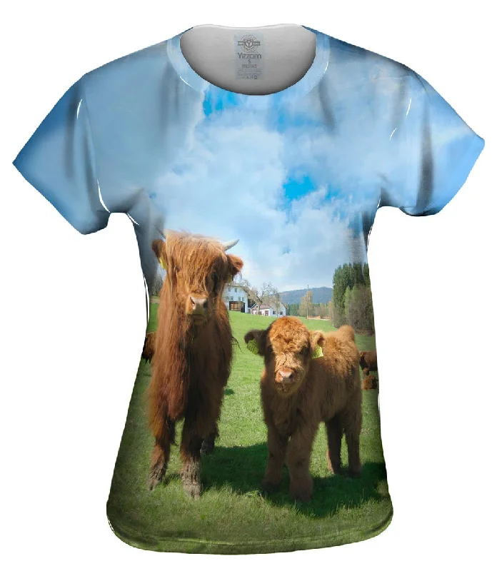 Seasonal Sale Highland Furry Cattle